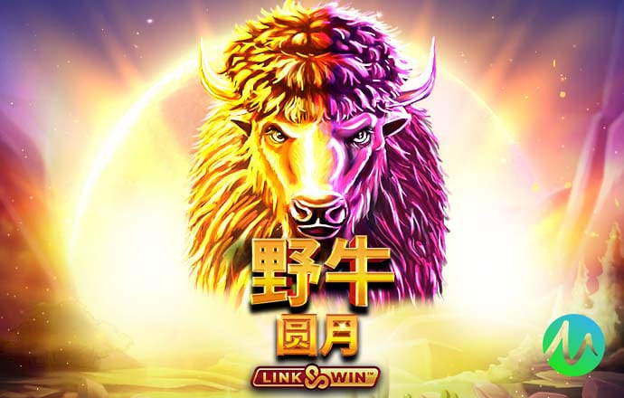95体育网