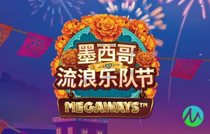 特级飞行大师